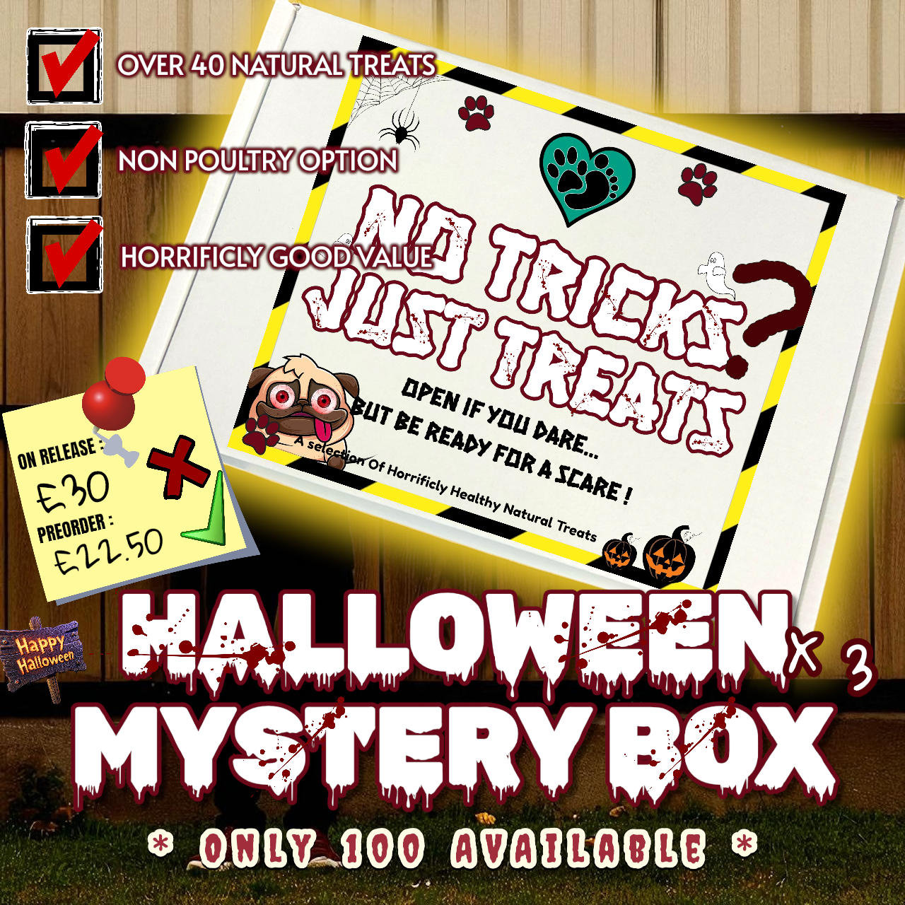 Halloween Mystery Box : No Tricks, Just Treats *PREORDER ONLY* -