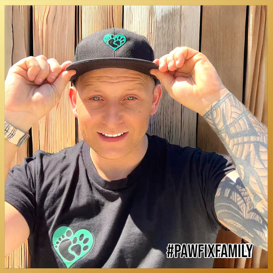 PawFix Baseball Cap - Black