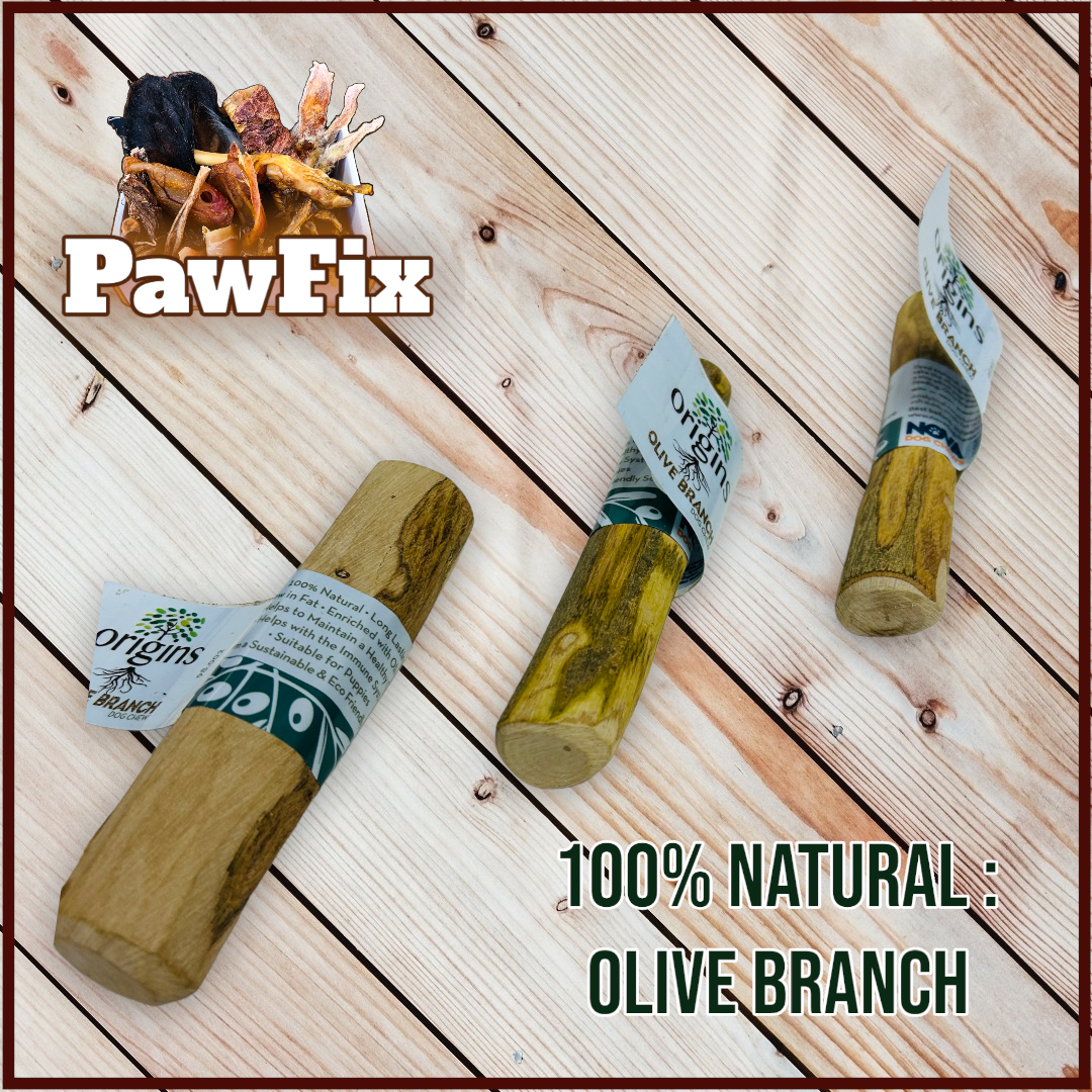 100% Natural Olive Branch - Large