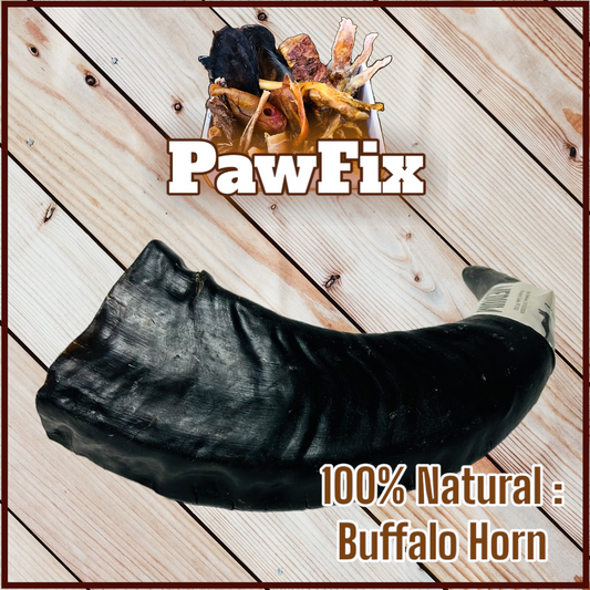 100% Natural Buffalo Horn