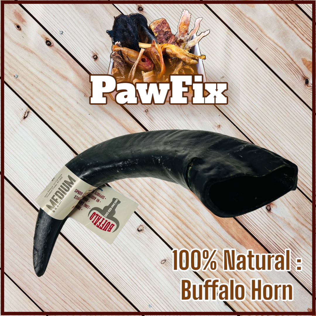 100% Natural Buffalo Horn