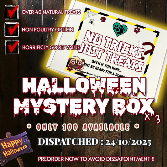Halloween Mystery Box : No Tricks, Just Treats *PREORDER ONLY* -