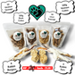 Fresh picks - Our Latest Product drops | 100% Natural Temporary Listings 🐾