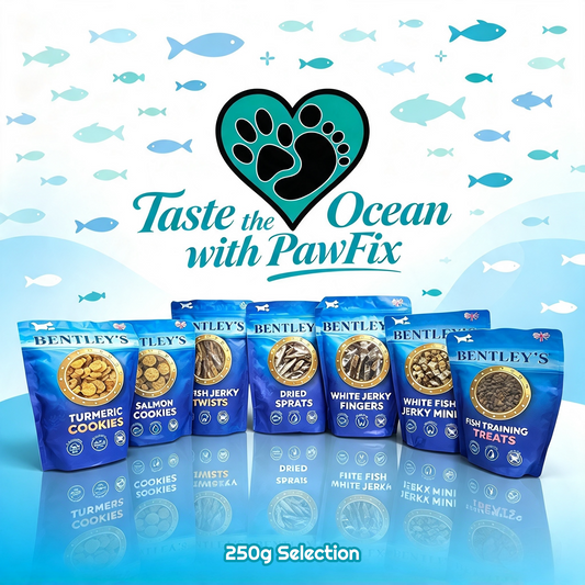 Taste the Ocean - Premium Natural Fish Range