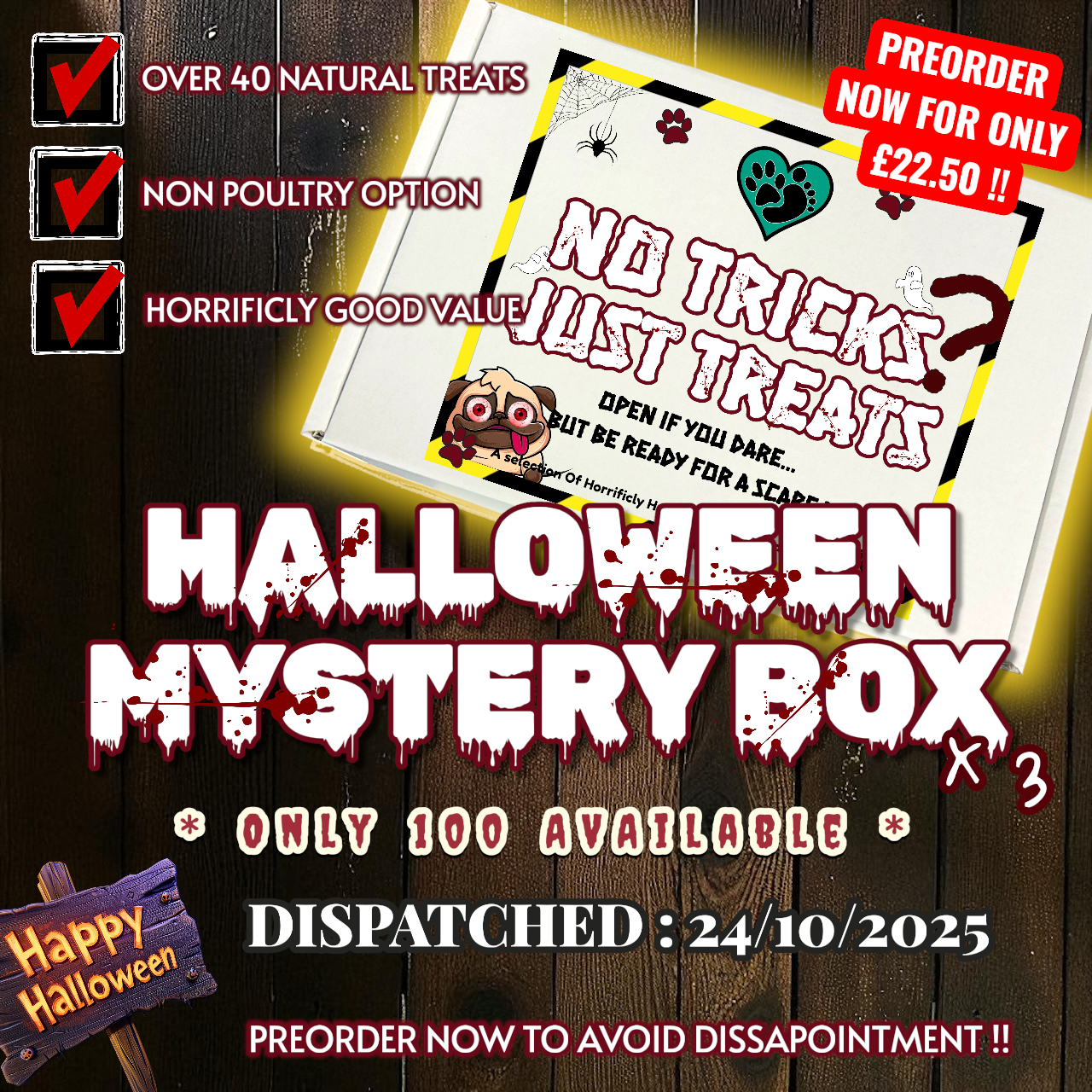 Halloween Mystery Box : No Tricks, Just Treats *PREORDER ONLY* -