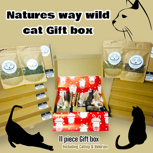 Natures way wild Cat Gift Box & Crazy Cat Selection