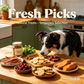 Fresh picks - Our Latest Product drops | 100% Natural Temporary Listings 🐾