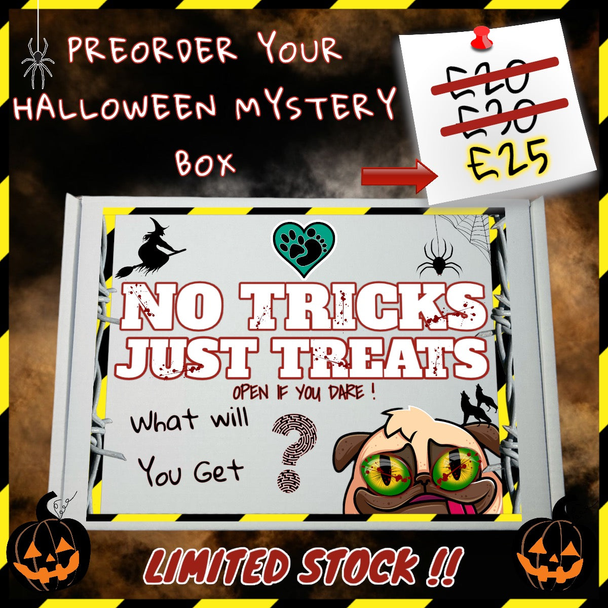 Halloween Mystery Box : No Tricks, Just Treats *PREORDER ONLY* -