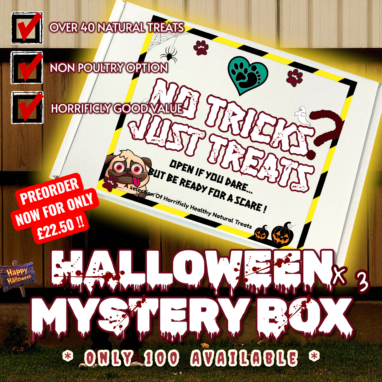 Halloween Mystery Box : No Tricks, Just Treats *PREORDER ONLY* -