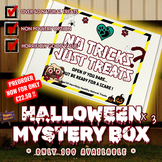 Halloween Mystery Box : No Tricks, Just Treats *PREORDER ONLY* -