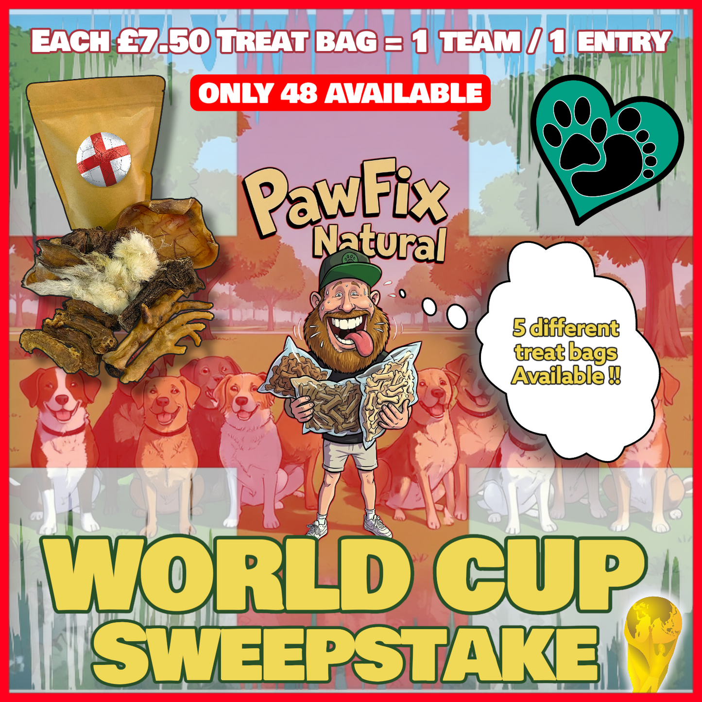 2026 Football sweepstake - £7.50 Treat bag per Entry .