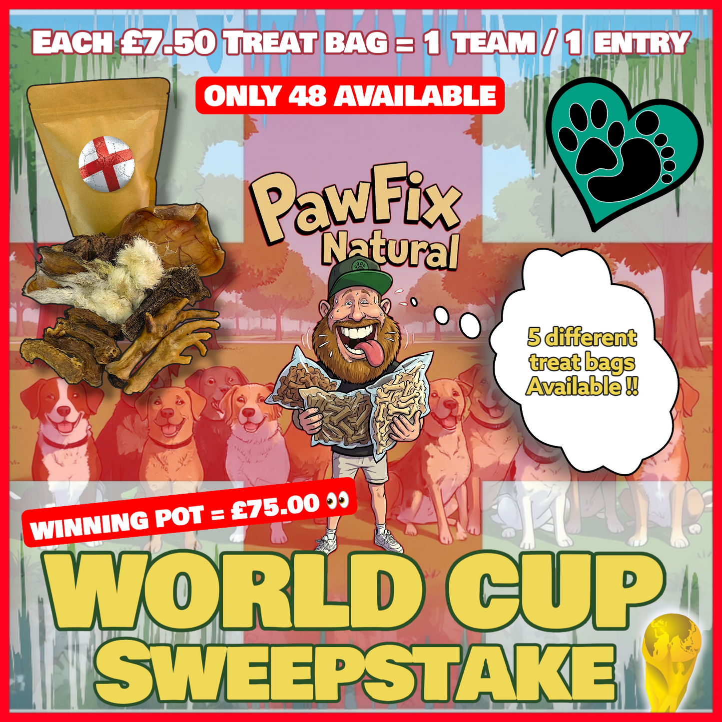 2026 Football sweepstake - £7.50 Treat bag per Entry .