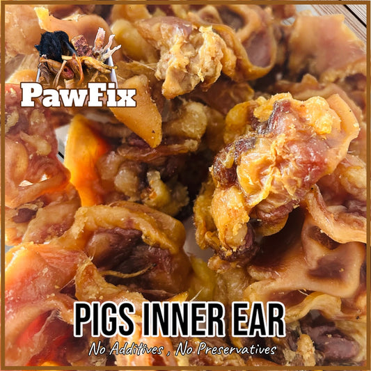 " Porky Bites " Pigs Inner Ear