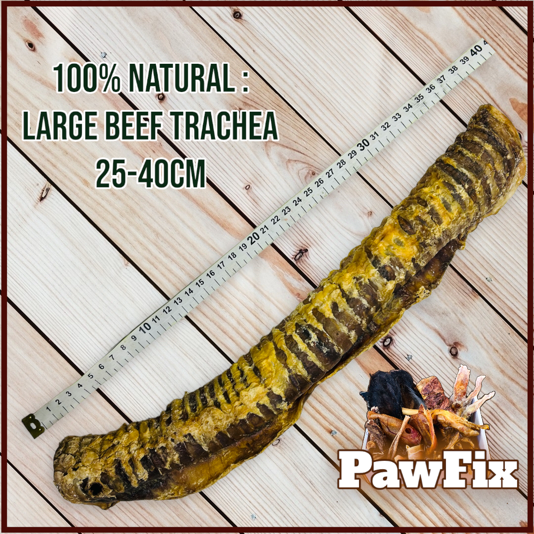 100% Natural Beef Trachea pieces