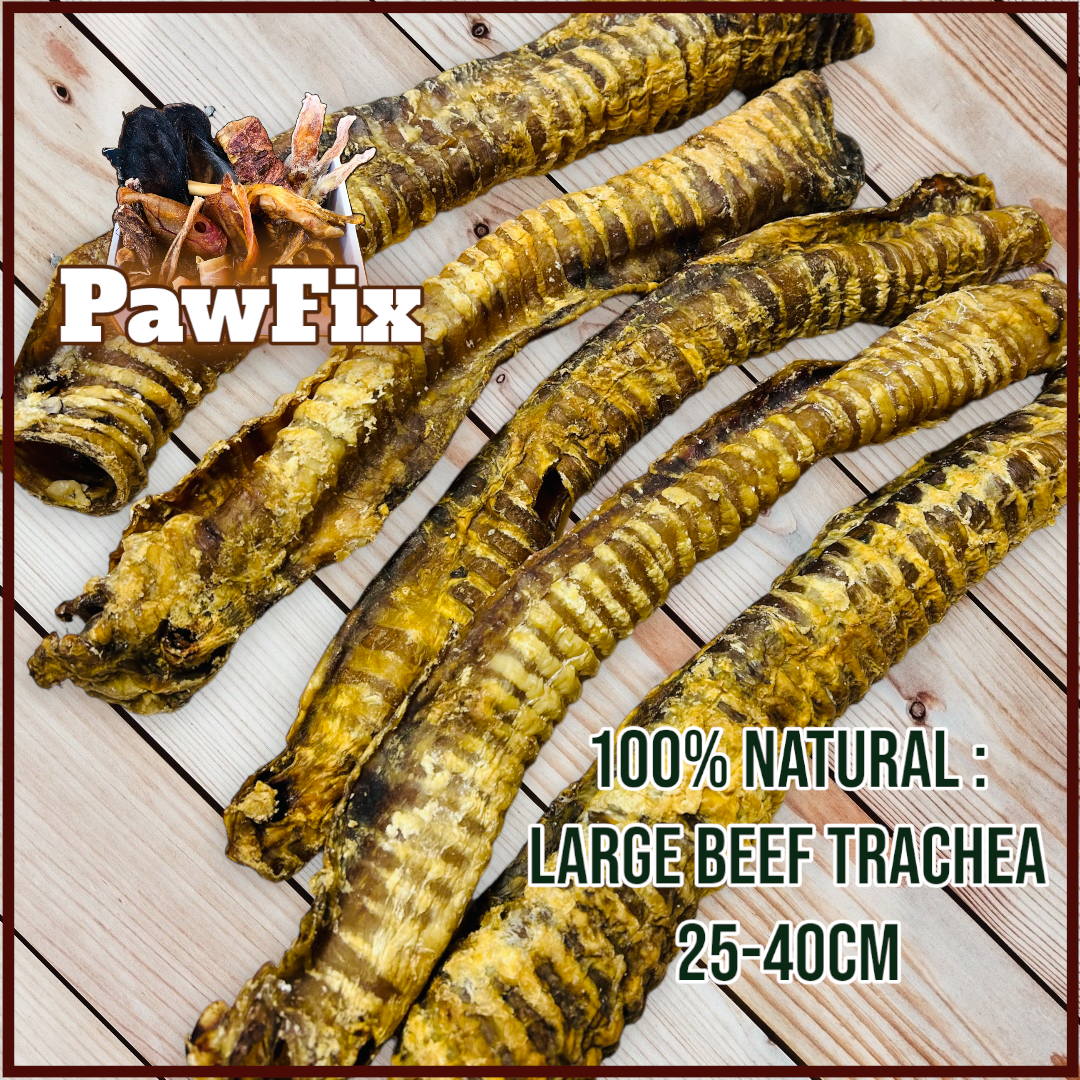 100% Natural Beef Trachea pieces