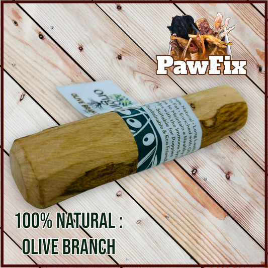 100% Natural Olive Branch - Large