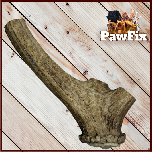 100% Natural Deer Antler Chew
