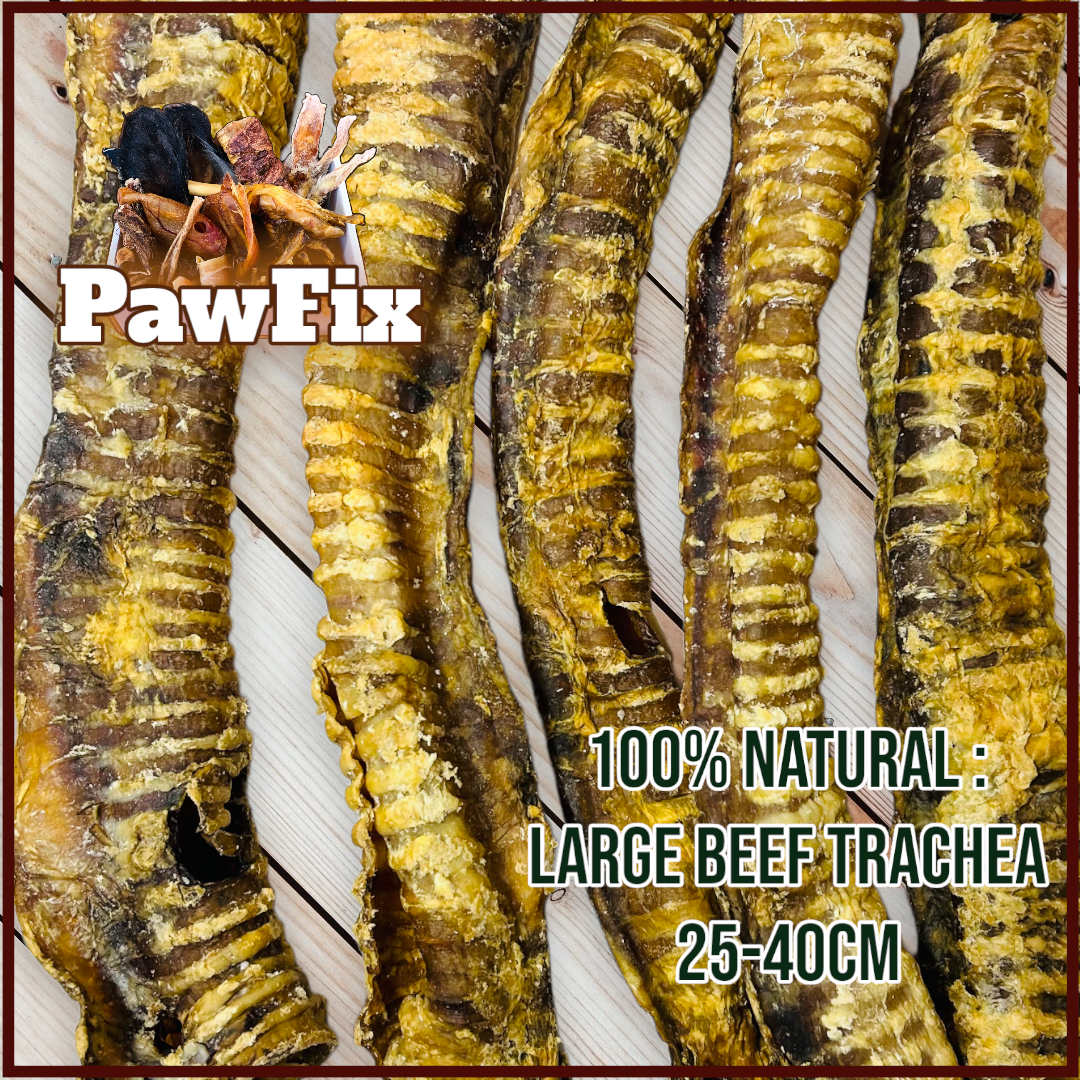 100% Natural Beef Trachea pieces