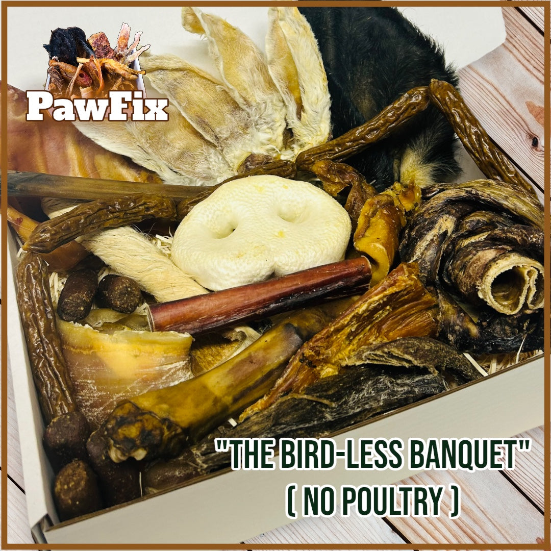 "The Birdless Banquet" Natural Treat box