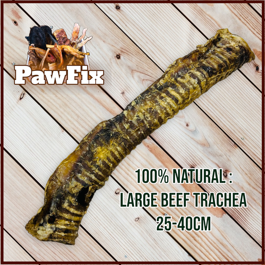 100% Natural Beef Trachea pieces