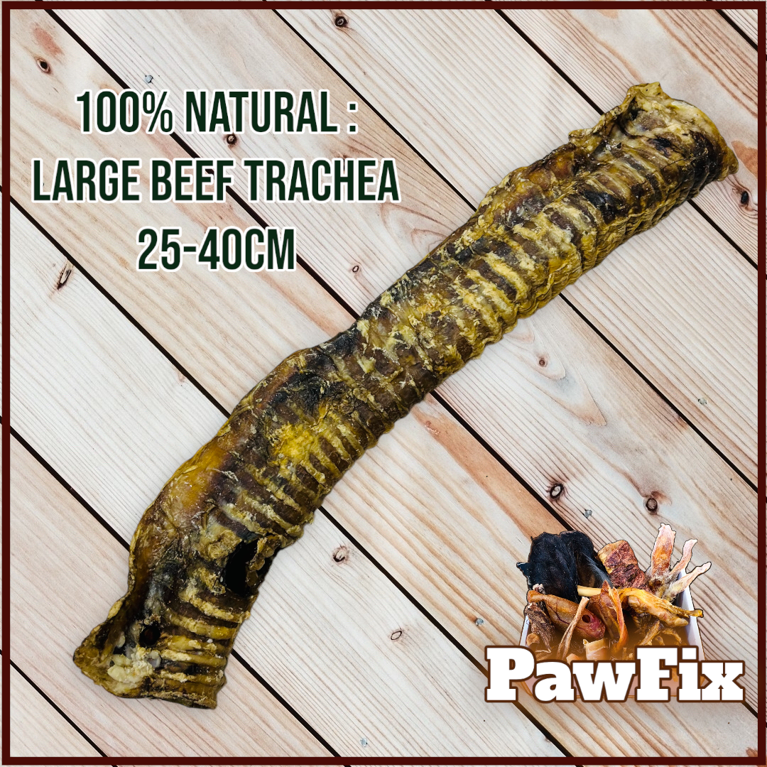 100% Natural Beef Trachea pieces